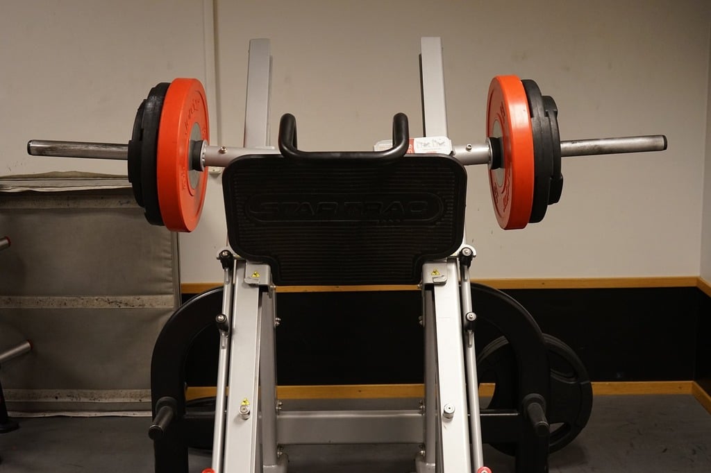 Best Gym Equipment to Lose Weight