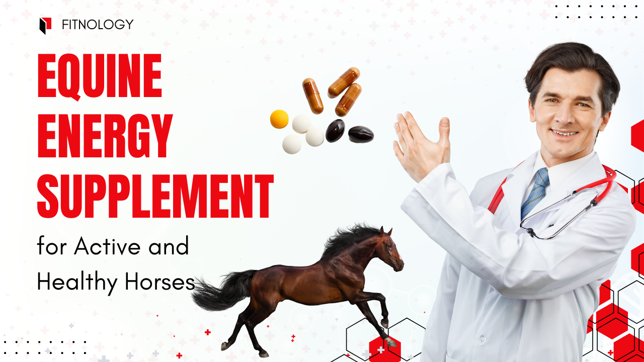 equine energy supplement