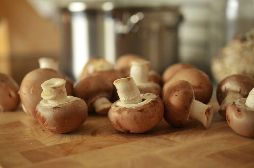 Mushroom Supplements for Energy