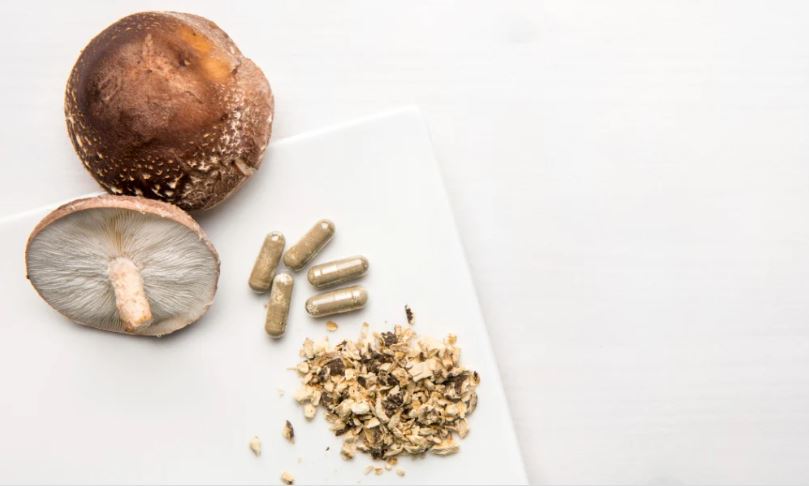 Mushroom Supplements for Energy